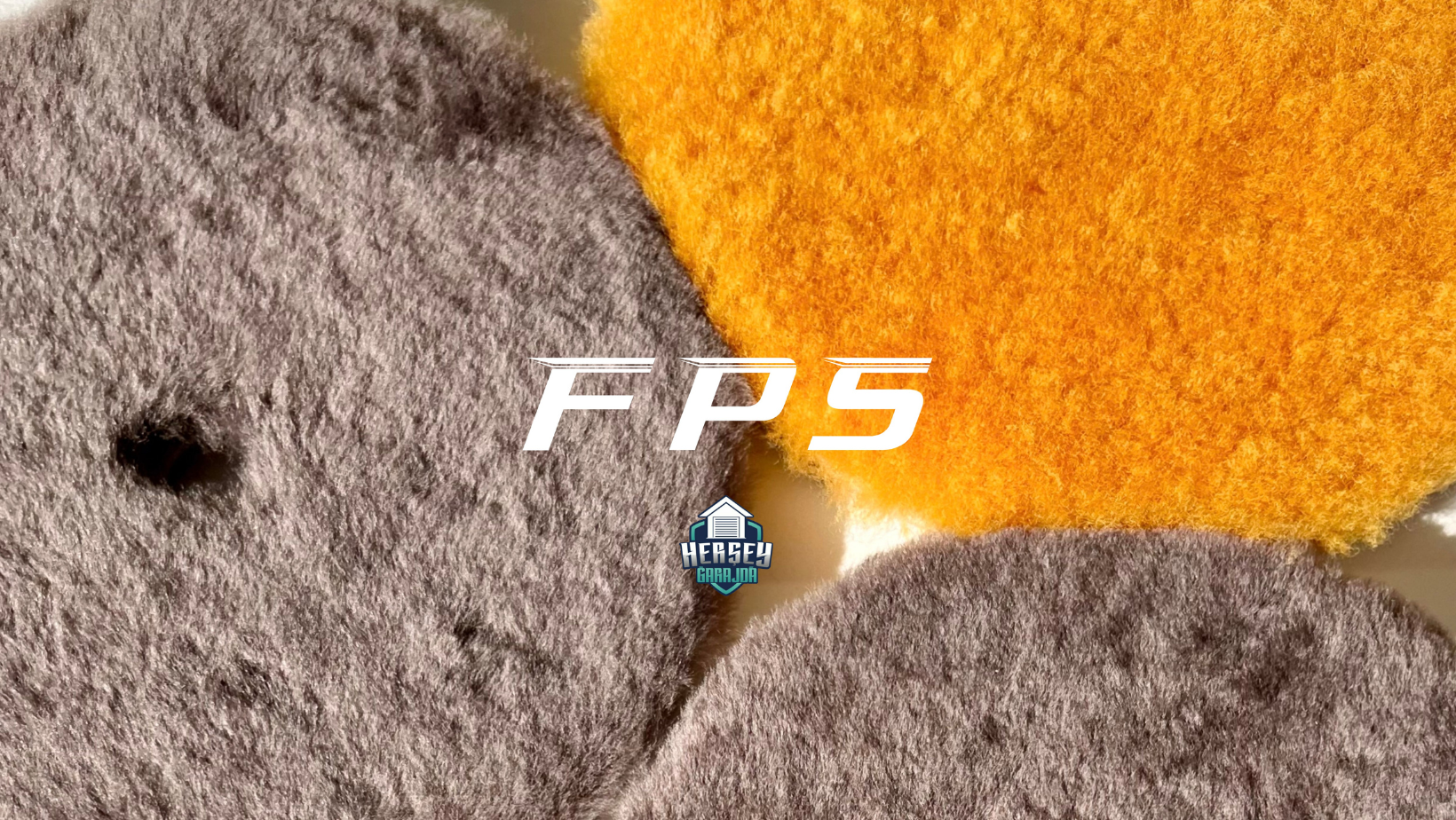 FPS