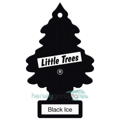 Little Trees Black Ice - Siyah Buz Askı Koku